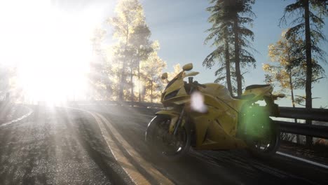 sportbike-on-tre-road-in-forest-with-sun-beams